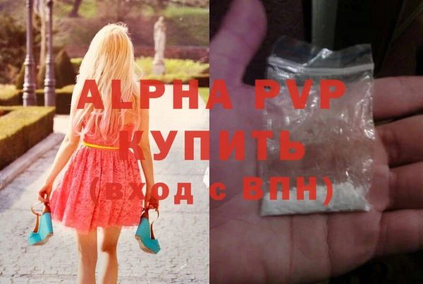 индика Бронницы